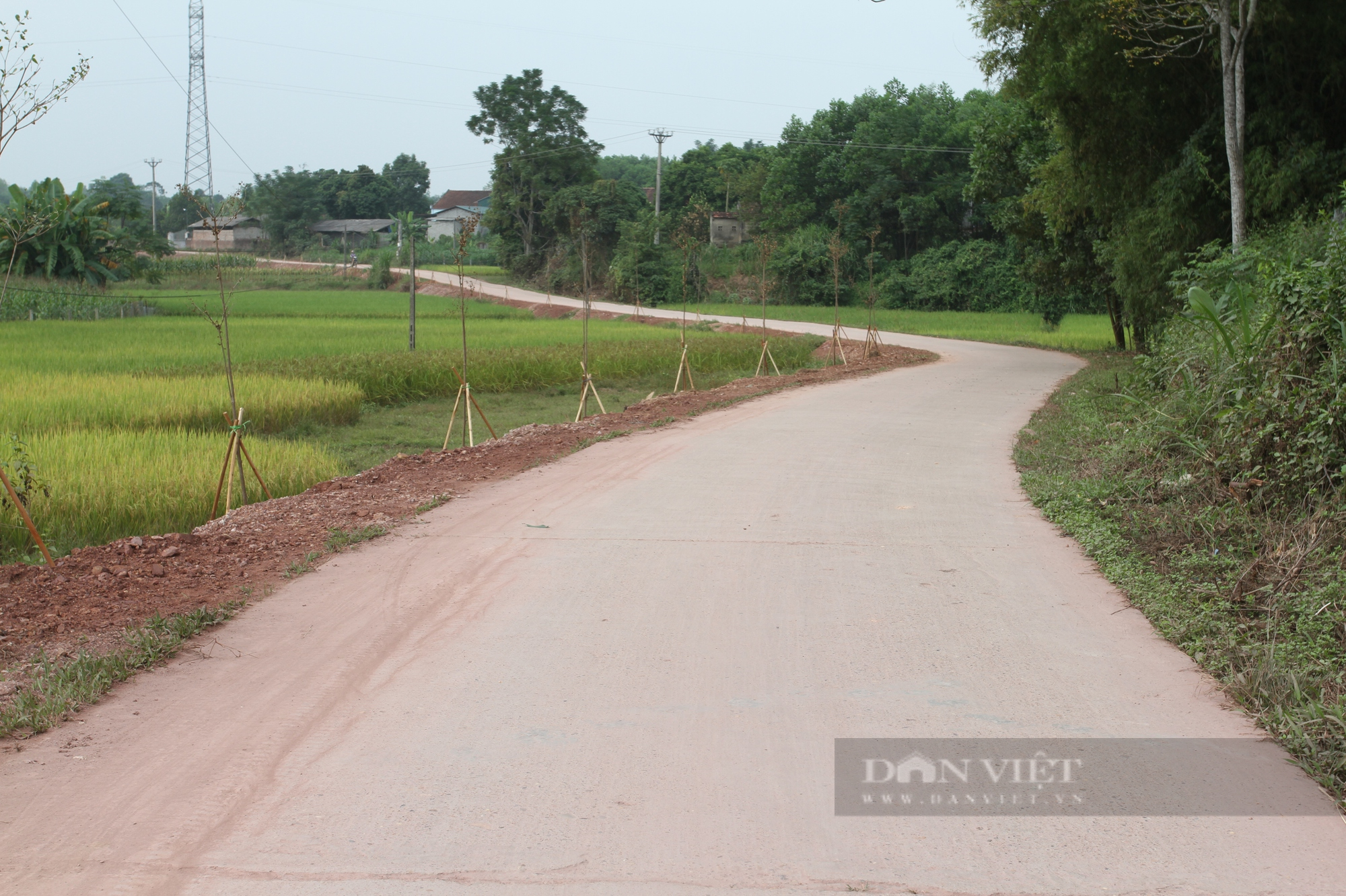 Tân Khánh phát huy mọi nguồn lực xây dựng nông thôn mới nâng cao - Ảnh 3.