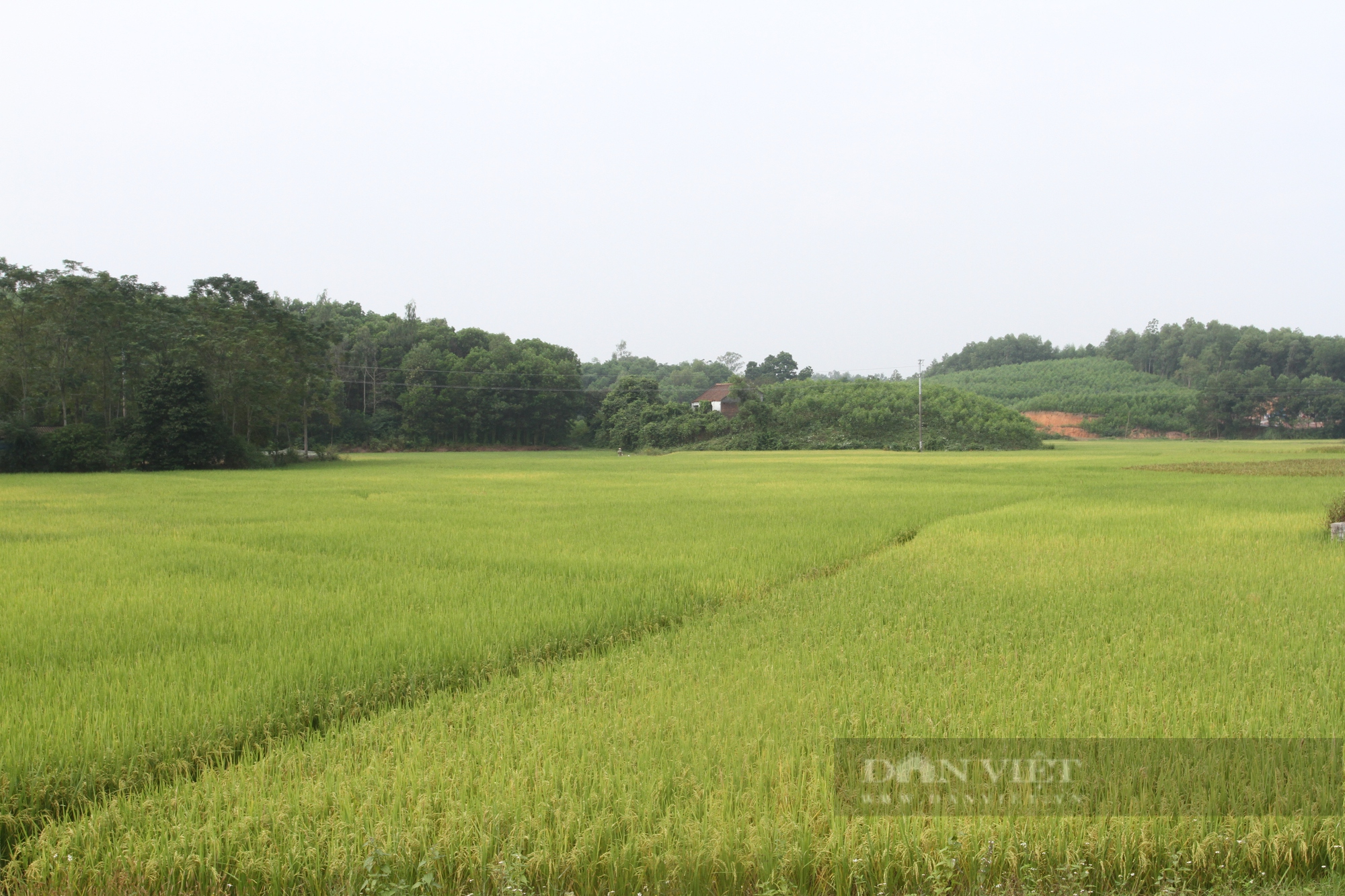 Tân Khánh phát huy mọi nguồn lực xây dựng nông thôn mới nâng cao - Ảnh 2.