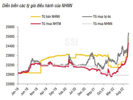 Lãi suất huy động tăng "nóng", 10 tỷ USD ngoại tệ "bơm" cho các doanh nghiệp xăng dầu - Ảnh 3. Lãi suất huy động tăng "nóng", 10 tỷ USD ngoại tệ "bơm" cho các doanh nghiệp xăng dầu - Ảnh 3.