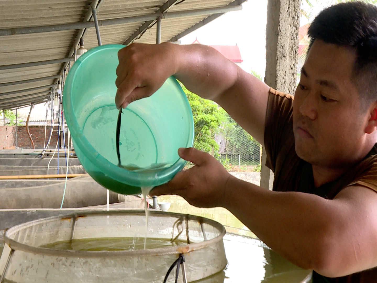 Bắc Ninh: Ứng dụng công nghệ vào sản xuất cá giống, tạo hiệu quả bất ngờ - Ảnh 2.