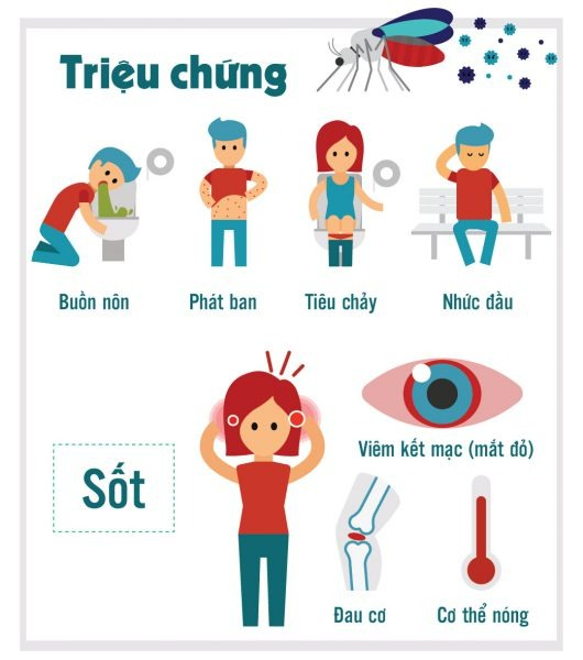 Sốt xuất huyết tăng nhanh, 110 ca tử vong, chuyên gia y tế cảnh báo dấu hiệu nguy hiểm - Ảnh 2.