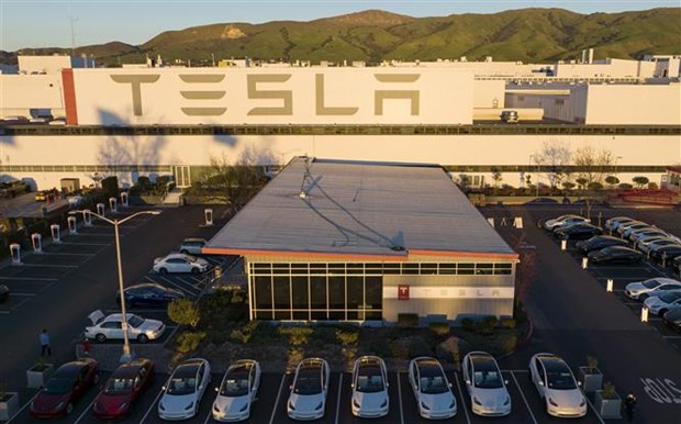 Hãng Tesla thu hồi hơn 24.000 xe tại Mỹ do vấn đề dây an toàn - Ảnh 1.
