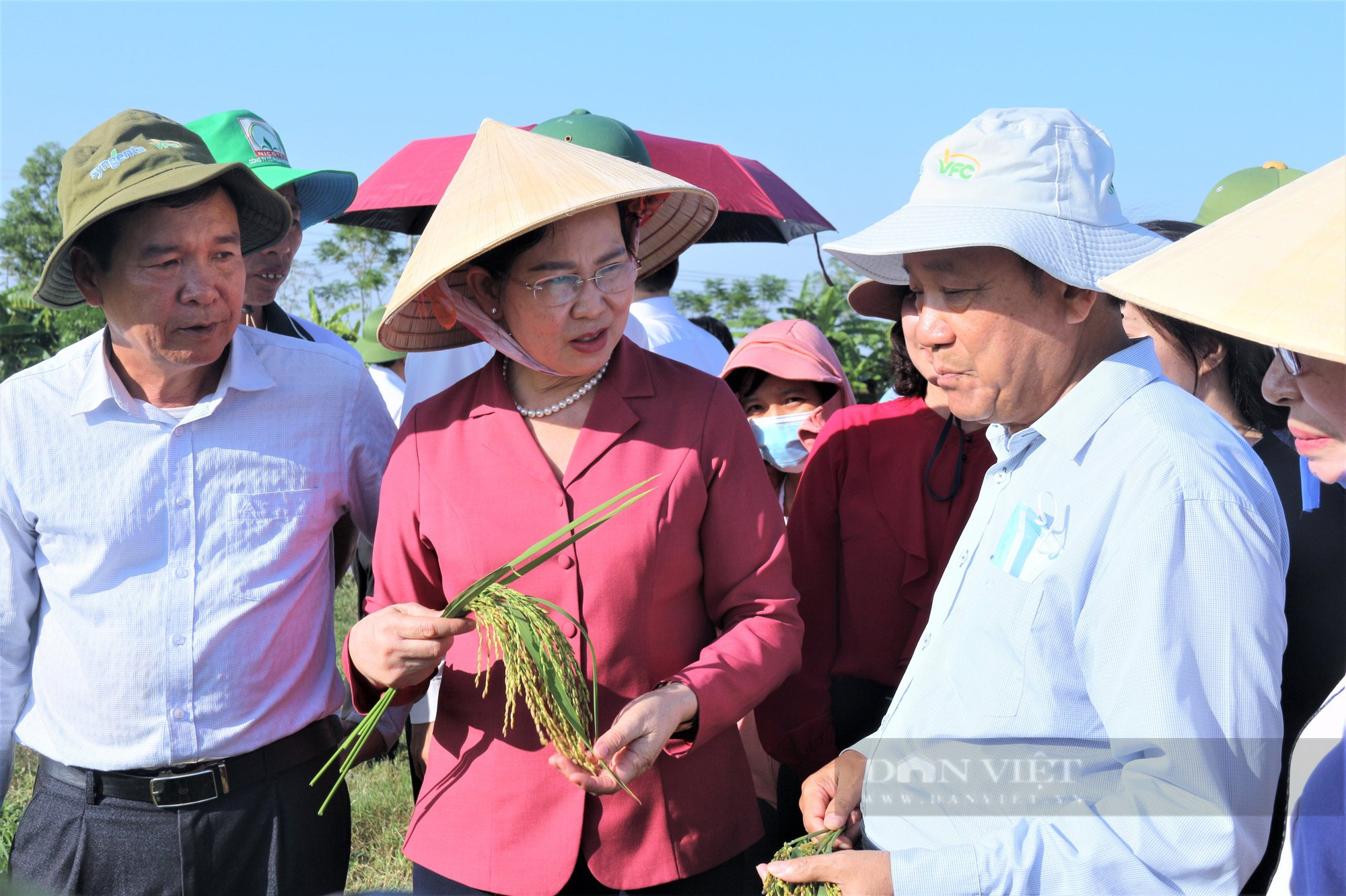 Hà Nam: Sử dụng phân bón Nano Silic (PAN), lúa chĩu bông, tôm, cá bơi đầy đồng - Ảnh 3.