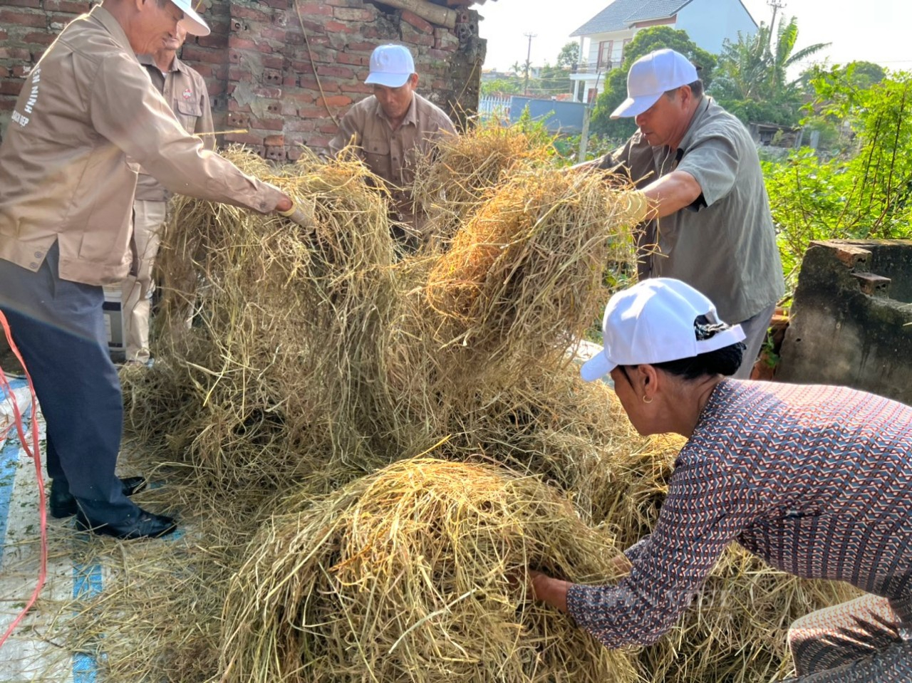 Ninh Bình: Hội thảo khởi động và kết nối dự án nông dân xử lý rác thải nhằm giảm phát thải khí nhà kính - Ảnh 3.