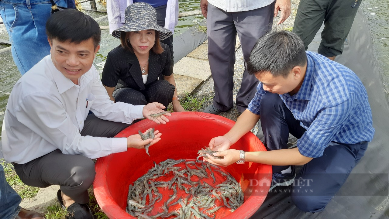 Ông nông dân ở Quảng Trị bỏ túi hơn 2 tỷ đồng mỗi năm nhờ nuôi tôm 2 giai đoạn an toàn sinh học - Ảnh 2.
