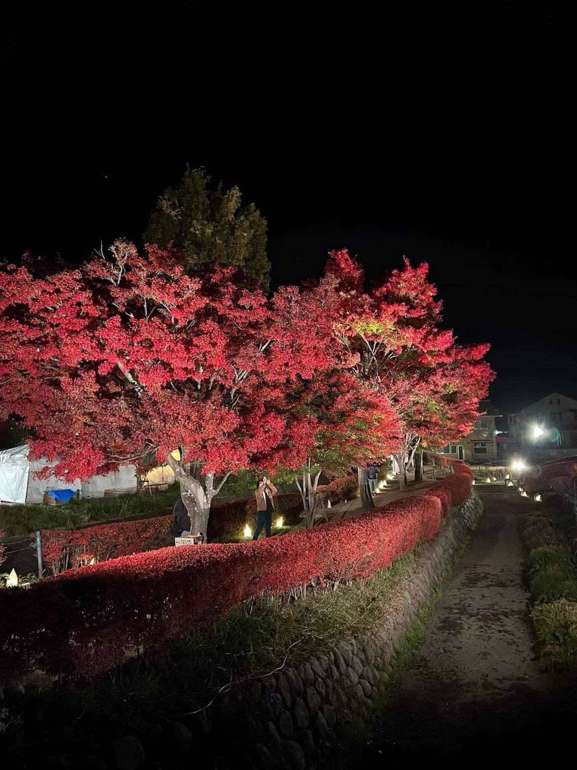 Vẻ đẹp mùa thu ở Nhật Bản qua ống kính du khách Việt - Ảnh 12.