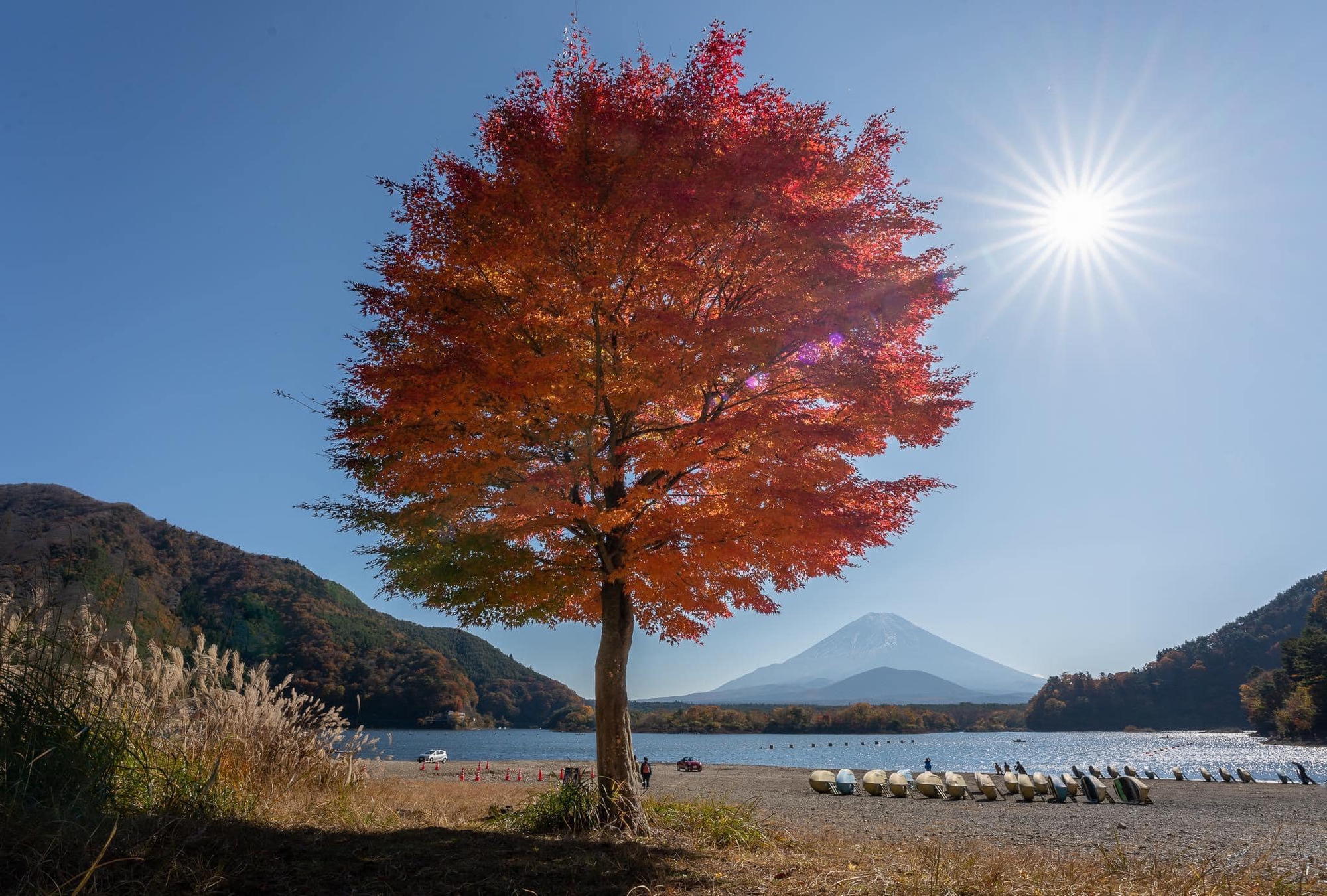 Vẻ đẹp mùa thu ở Nhật Bản qua ống kính du khách Việt - Ảnh 3.