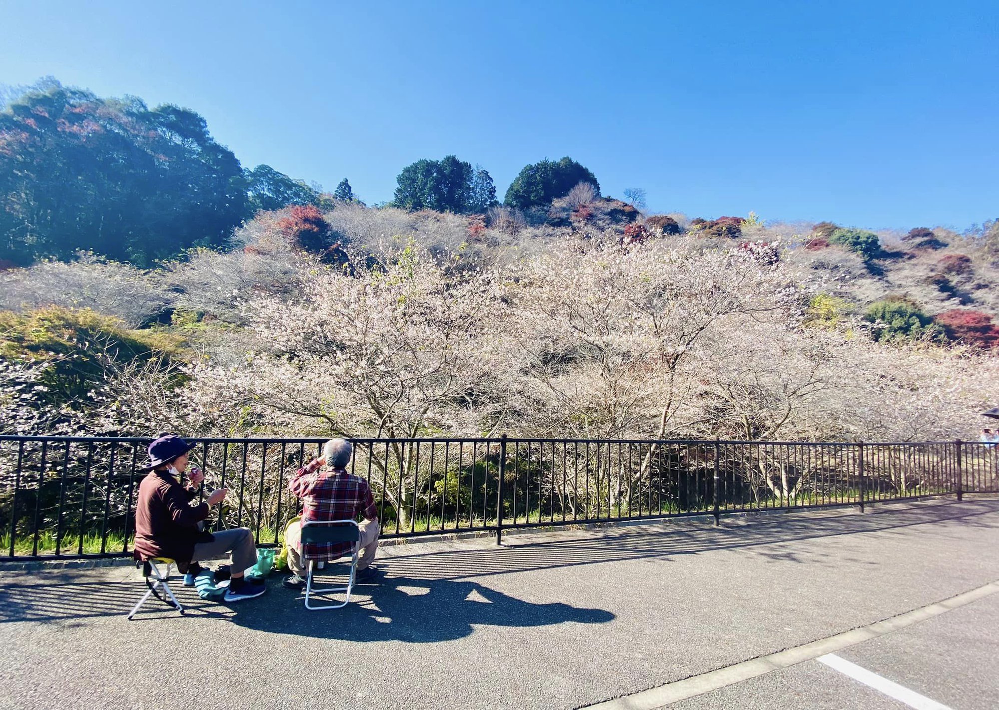 Vẻ đẹp mùa thu ở Nhật Bản qua ống kính du khách Việt - Ảnh 9.