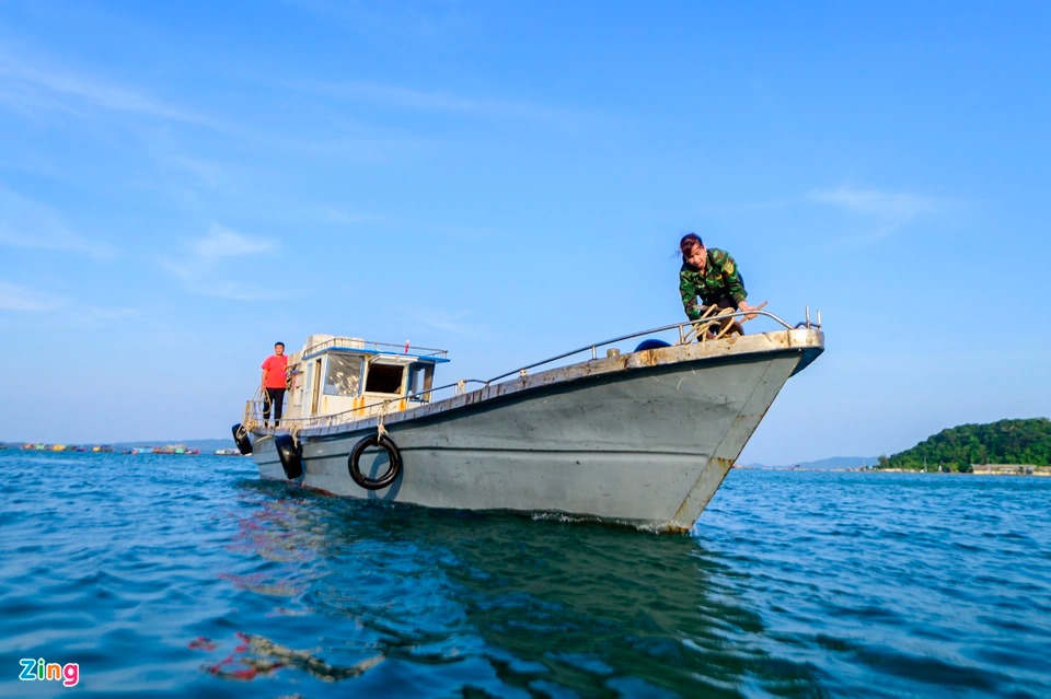 Trúng đậm cá cơm, ngư dân tại Quảng Ninh lãi cả chục triệu mỗi ngày - Ảnh 3.