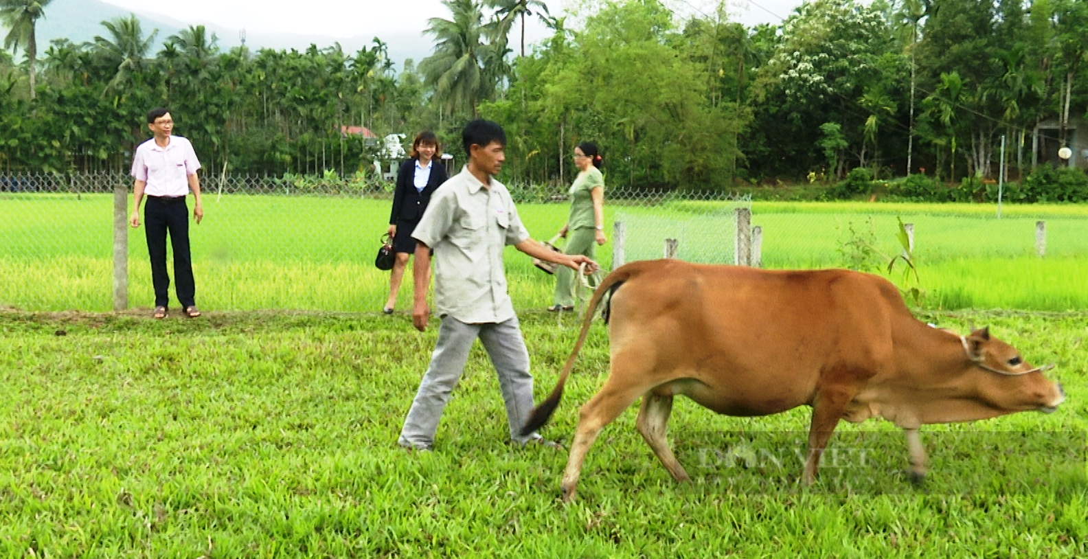 Quảng Nam: Nhờ bơm vốn kịp thời, nông dân thoát nghèo nhờ nuôi các con này - Ảnh 2.