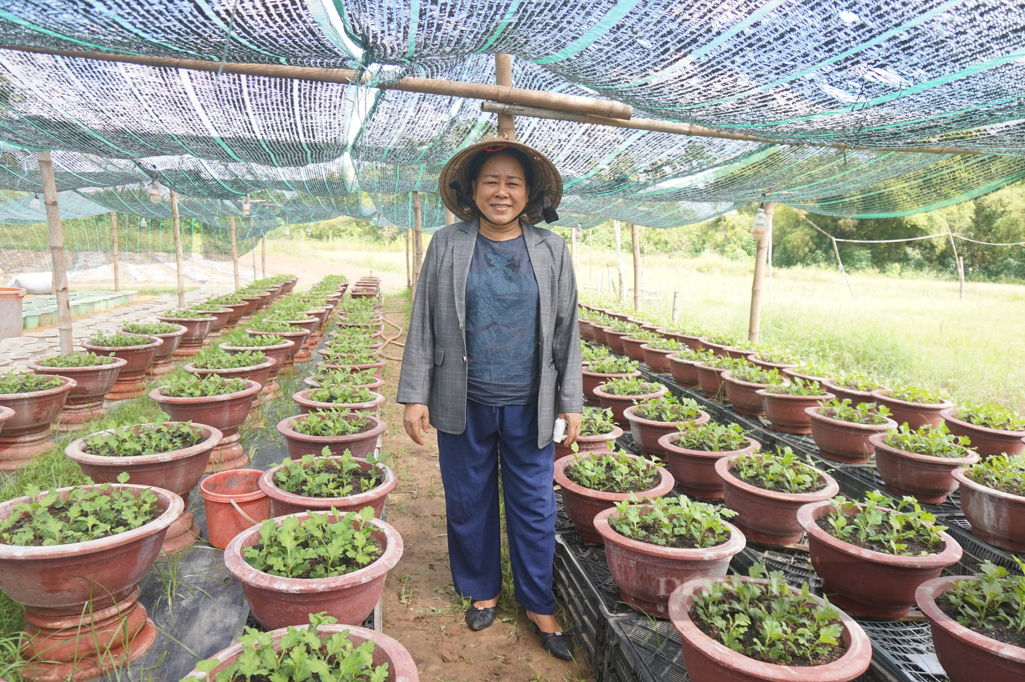 Đam mê trồng hoa, một phụ nữ ở Đà Nẵng thu lãi hàng trăm triệu mỗi năm - Ảnh 4.