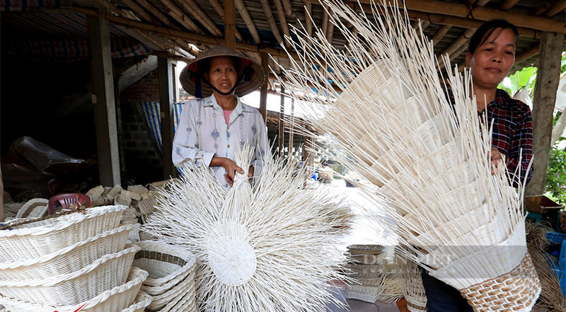 đào tạo nghề cho lao động nông thôn tỉnh trà vinh 