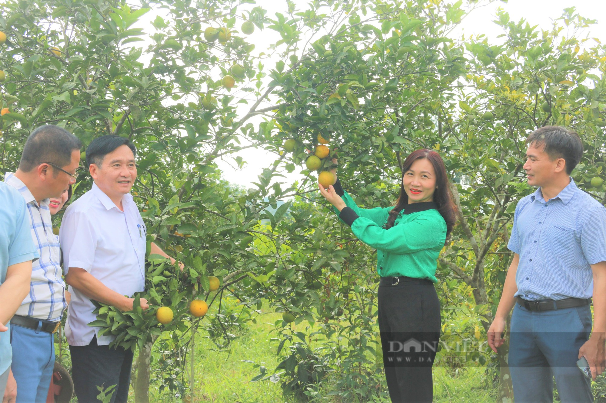 Hà Tĩnh: Hỗ trợ phát triển nông nghiệp, nông thôn, tạo nguồn lực xây dựng tỉnh nông thôn mới - Ảnh 3.
