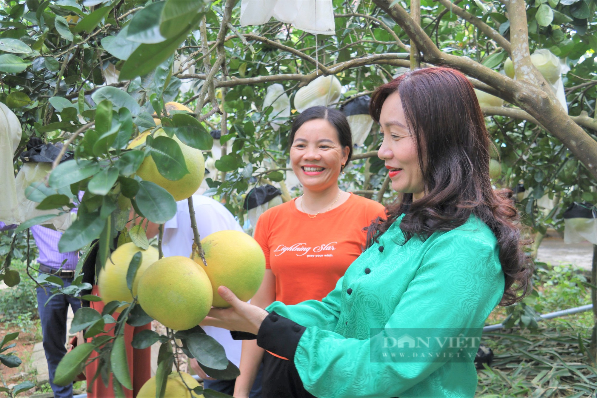 Hà Tĩnh: Hỗ trợ phát triển nông nghiệp, nông thôn, tạo nguồn lực xây dựng tỉnh nông thôn mới - Ảnh 5.