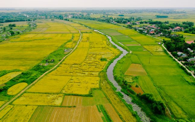 Kể chuyện Làng: Con đường đất đỏ - Lối về đất mẹ - Ảnh 2.