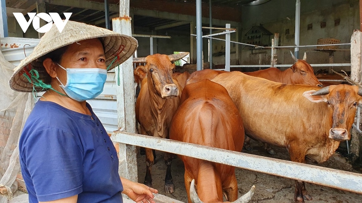 Thành tỷ phú nông dân sau 16 năm bán hết đất ở quê Thanh Hóa rồi Nam tiến vào Sài Gòn - Ảnh 4.