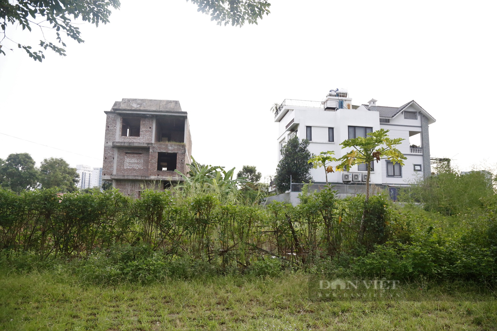 Hà Nội: Dự án khu đô thị Thanh Hà Cienco 5 tạm dừng điều chỉnh pháp lý - Ảnh 1.