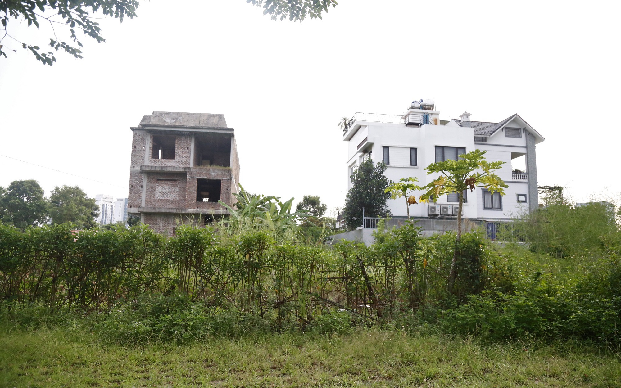Hà Nội: Dự án khu đô thị Thanh Hà Cienco 5 tạm dừng điều chỉnh pháp lý