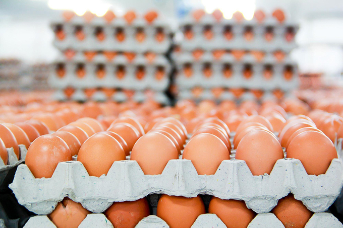Gặp khó với thép, &quot;vua thép&quot; quay sang bán hơn 1 triệu quả trứng mỗi ngày - Ảnh 1.