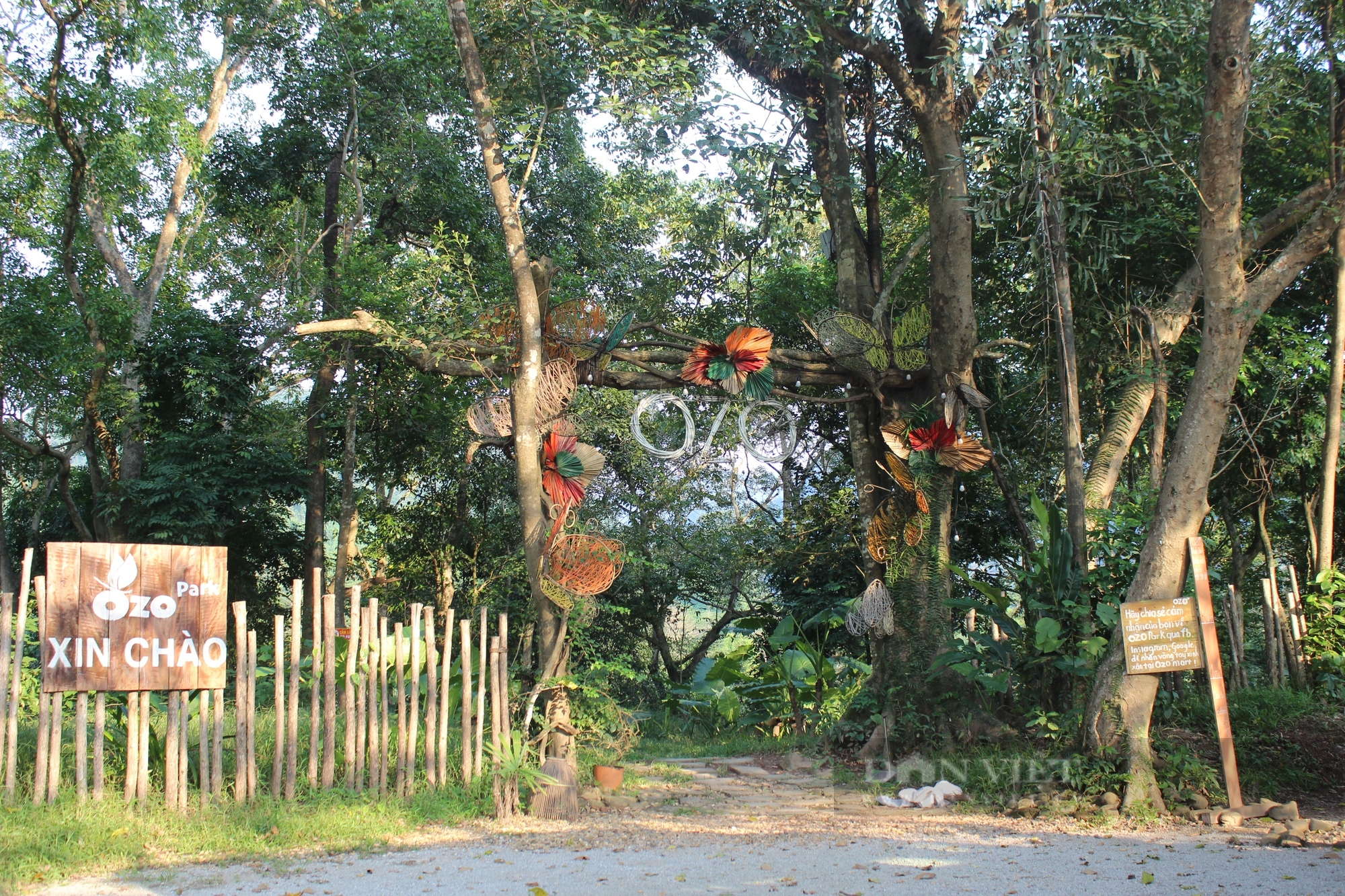 Cận cảnh khu du lịch lấn chiếm gần 40.000 m2 đất rừng trong di sản Phong Nha - Kẻ Bàng - Ảnh 2.