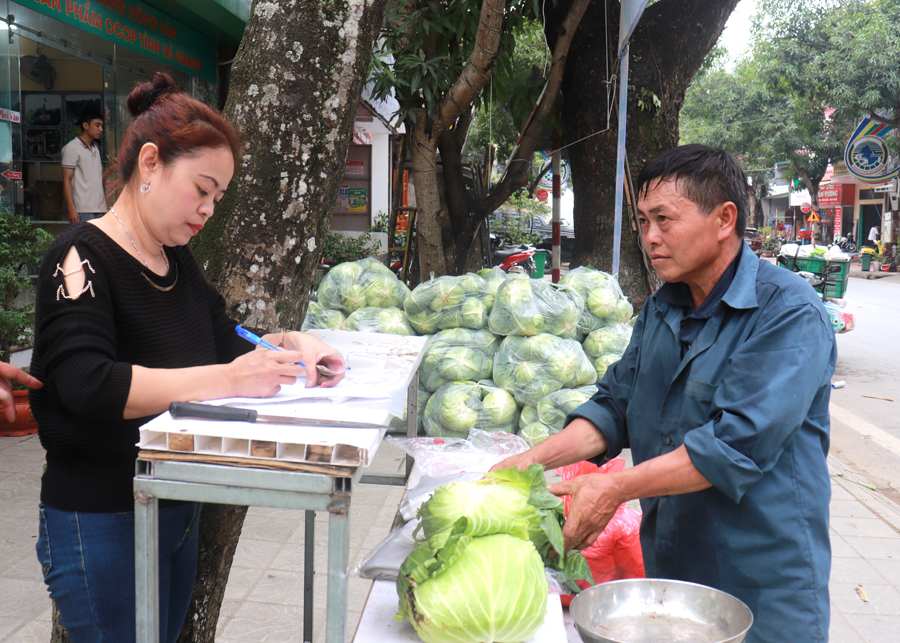 Hội Nông dân Hà Giang hỗ trợ tiêu thụ rau bắp cải cho nông dân xã Quyết Tiến - Ảnh 3.