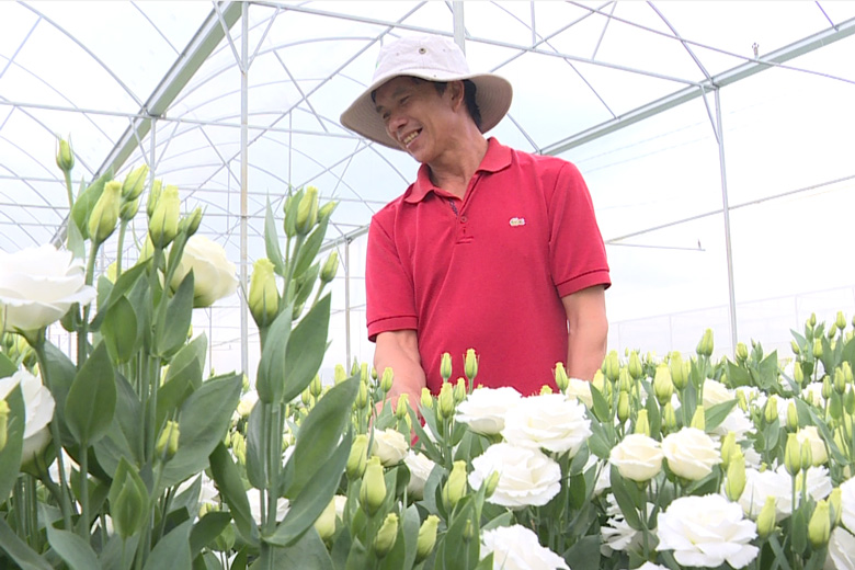 Đây là loài hoa ngoại nhập tên đẹp, dễ trồng, ai nhìn cũng mê giúp nông dân nơi này ở Lâm Đồng phát tài - Ảnh 2.