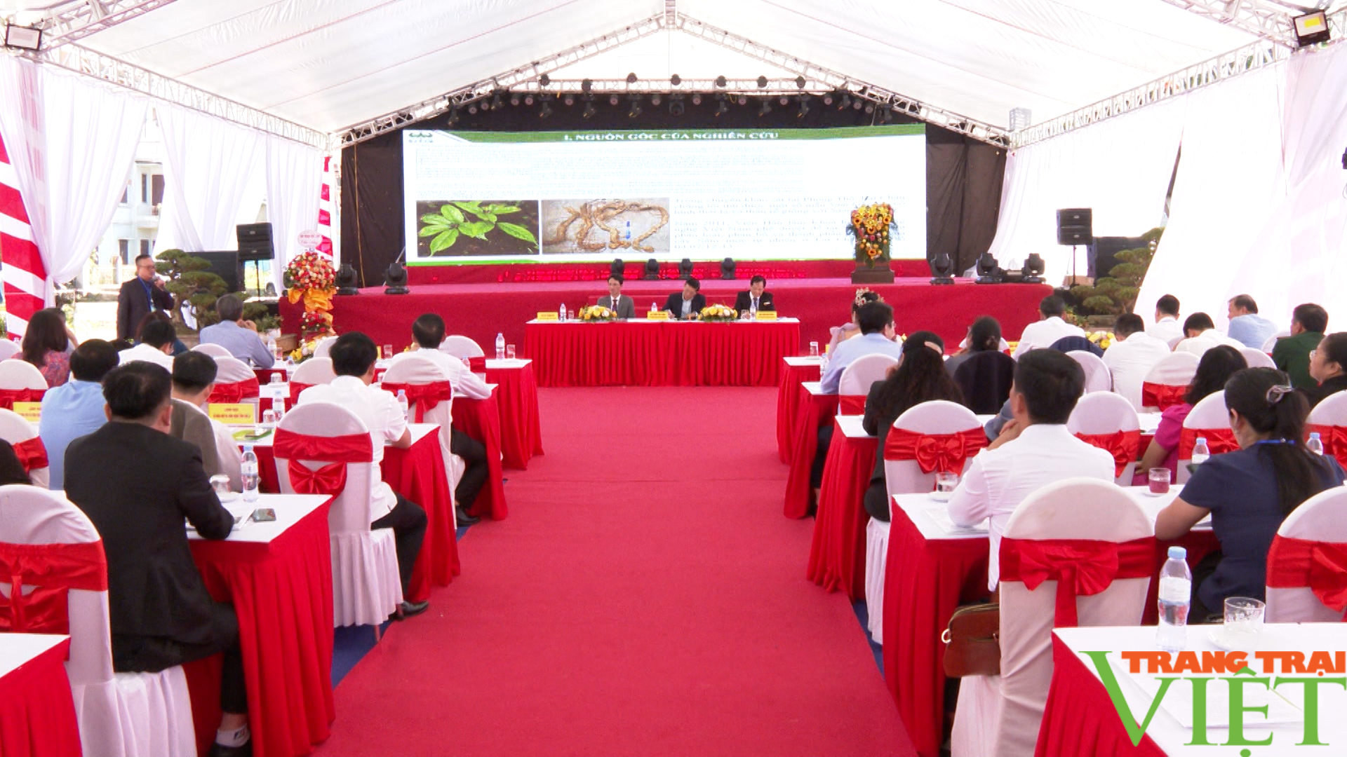 Hội thảo chuyển giao khoa học kỹ thuật phát triển Sâm Lai Châu - Ảnh 2.
