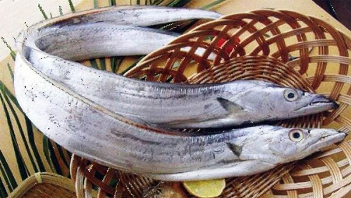 Đi chợ gặp 5 loại cá này nên mua ngay, đảm bảo cá tự nhiên, thịt chắc ngon lại nhiều chất bổ - Ảnh 3.