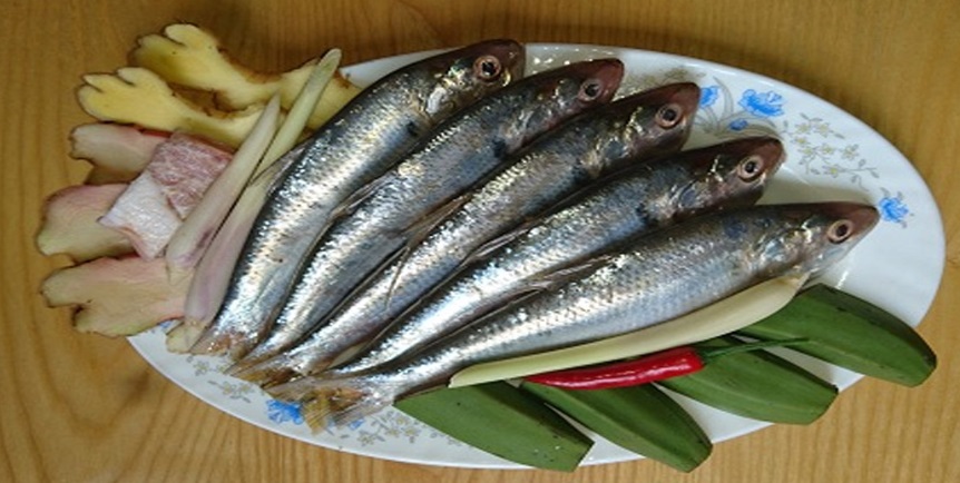 Đi chợ gặp 5 loại cá này nên mua ngay, đảm bảo cá tự nhiên, thịt chắc ngon lại nhiều chất bổ - Ảnh 2.