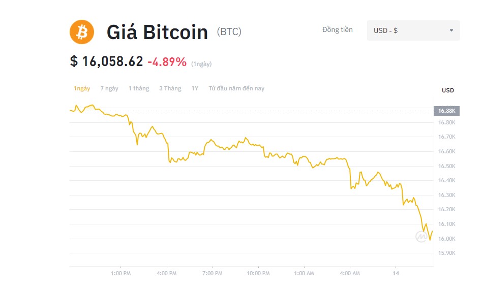 Giá Bitcoin hôm nay 14/11: Lao dốc về 16.000, thị trường tiền ảo lại rực lửa sau tin xấu về sàn FTX - Ảnh 1.