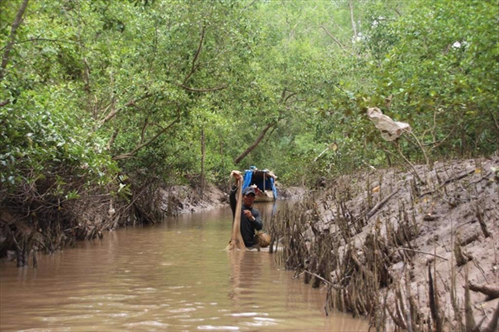 Chuyển đổi nuôi trồng thủy sản, thích ứng với biến đổi khí hậu ở Ngọc Hiển, Cà Mau - Ảnh 1.