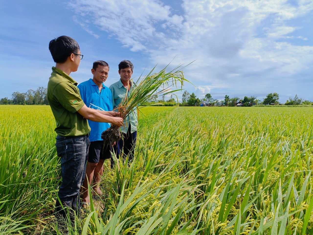 Syngenta trở thành một trong những nơi làm việc tốt nhất Việt Nam cho nhân sự ngành nông nghiệp - Ảnh 3.