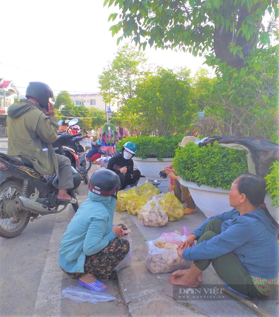 Người dân miền núi Phú Yên đổ xô lên rừng hái loại nấm mối mọc dưới tổ mối, bán giá “đắt như tôm tươi” - Ảnh 3.