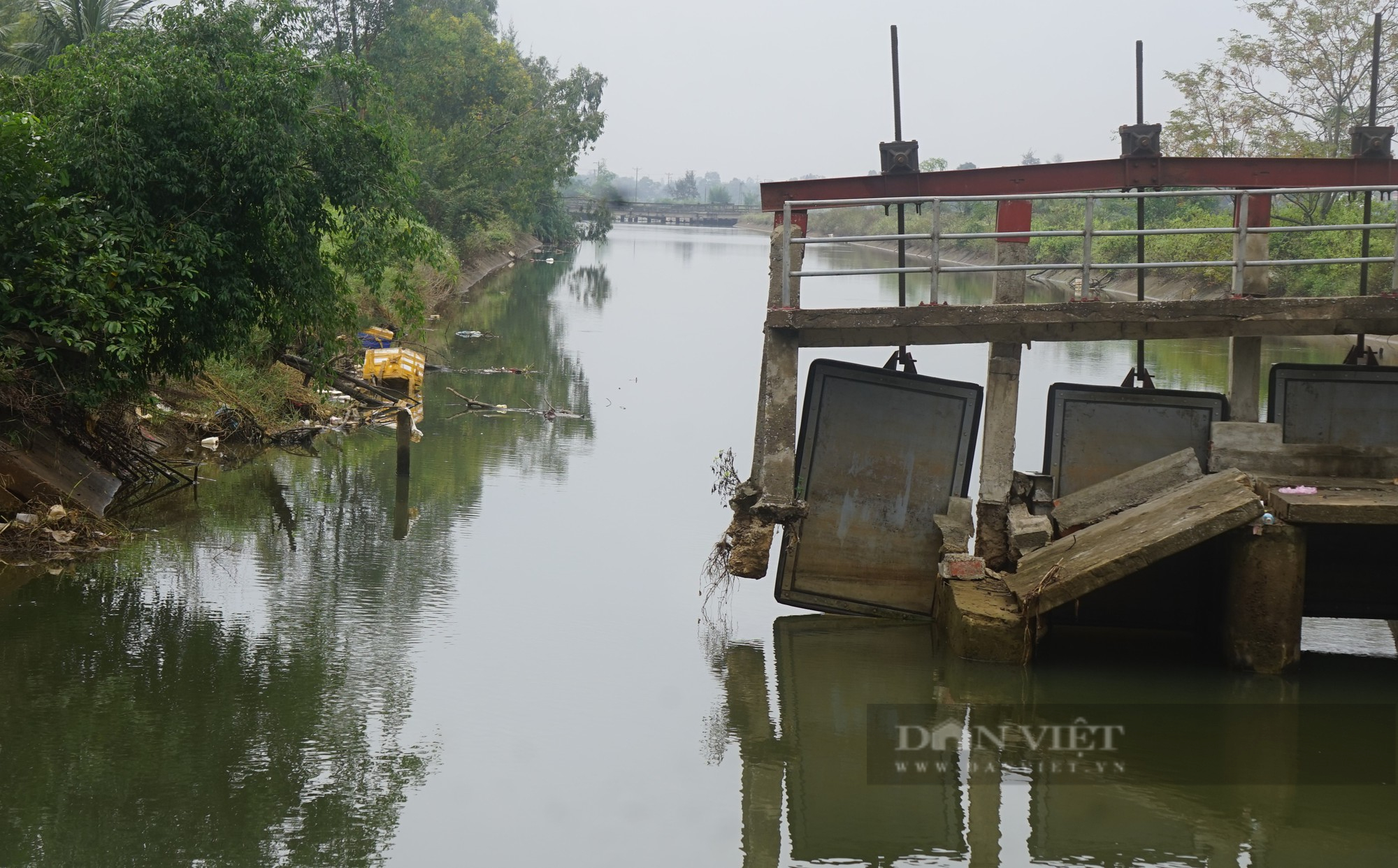 Hai cầu ngăn mặn thất thủ hàng chục ha đất nông nghiệp của nông dân Nghệ An có nguy cơ bỏ hoang - Ảnh 2.