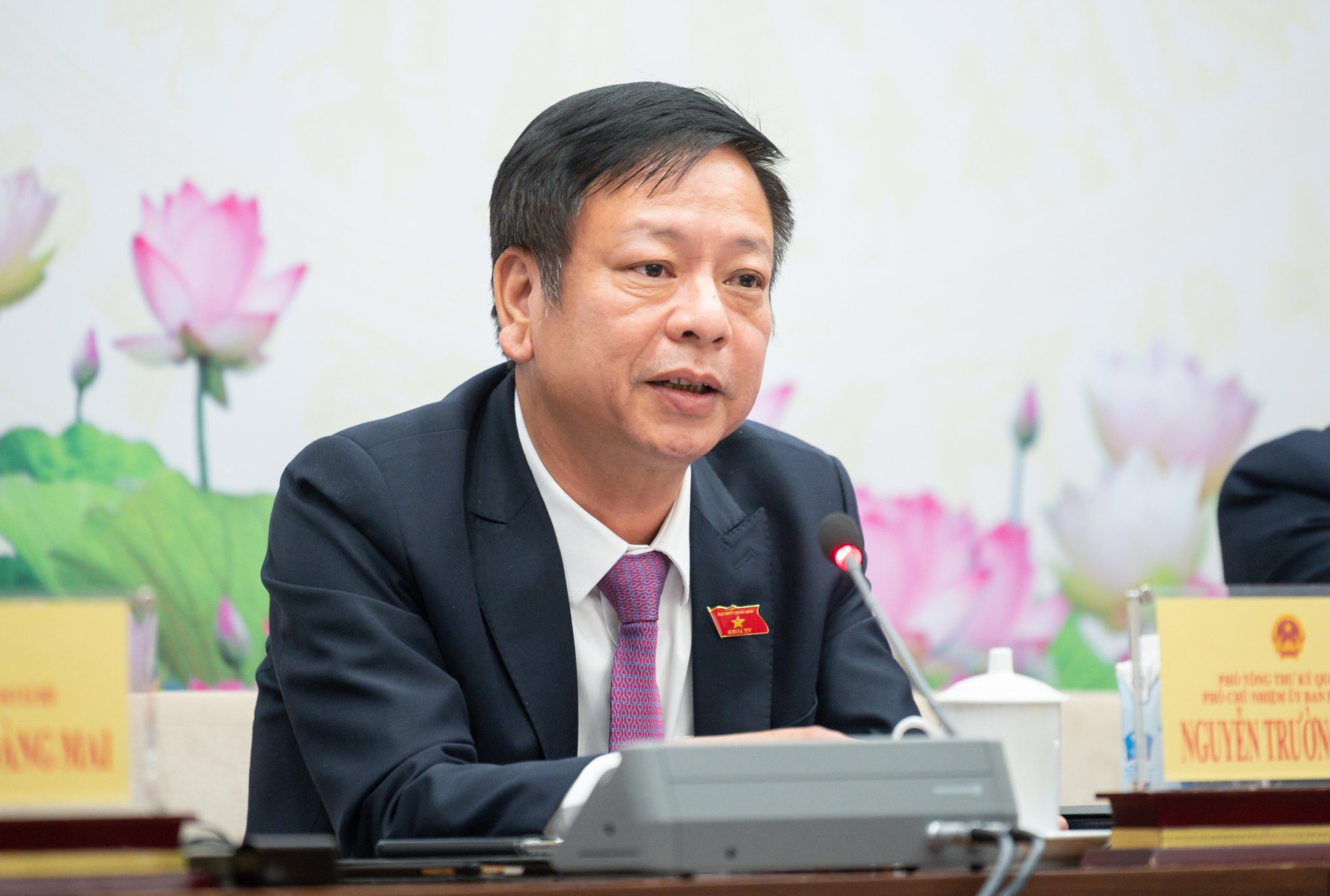 &quot;Chủ tịch UBND TP Hà Nội không thuộc đối tượng chất vấn của Quốc hội&quot; - Ảnh 1.