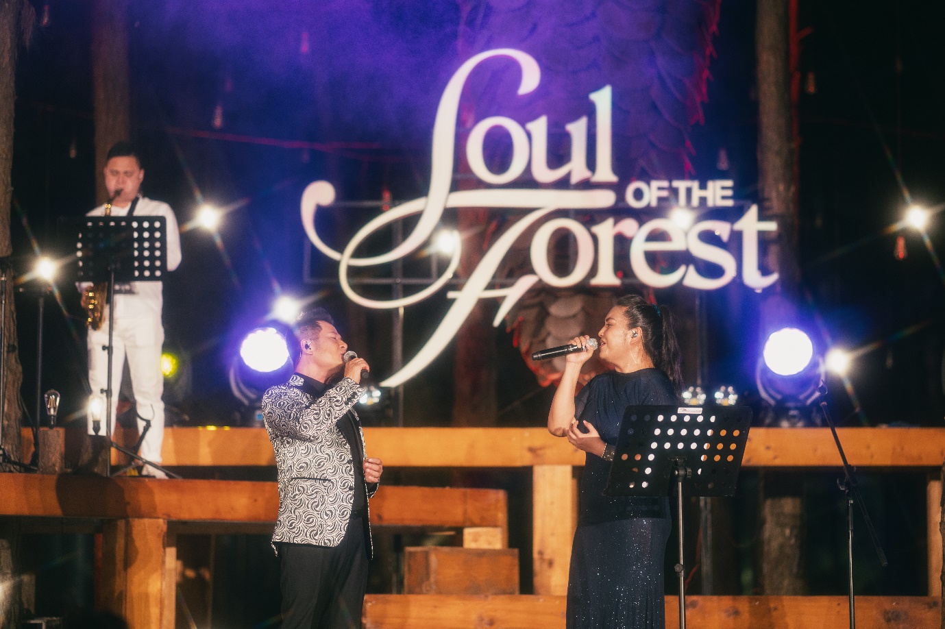 Bằng Kiều trở lại ấn tượng với đêm nhạc Soul of the Forest “Cơn mơ băng giá” - Ảnh 3.