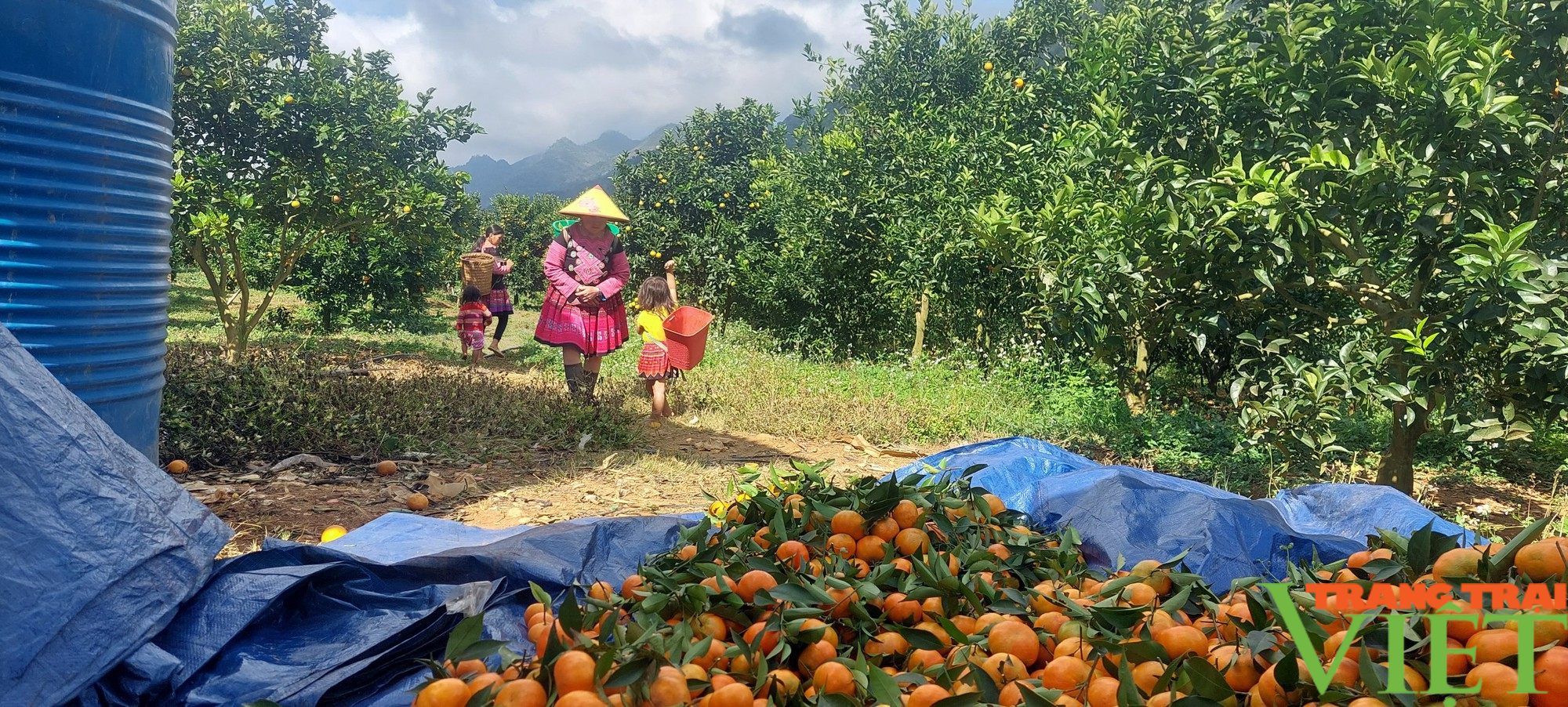 Tỷ phú nơi đất &quot;nóng&quot; Hang Kia  - Ảnh 5.