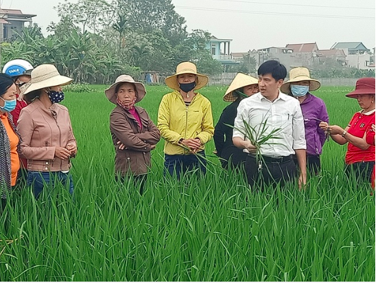 đào tạo nghề cho lao động nông thôn tỉnh thanh hóa 