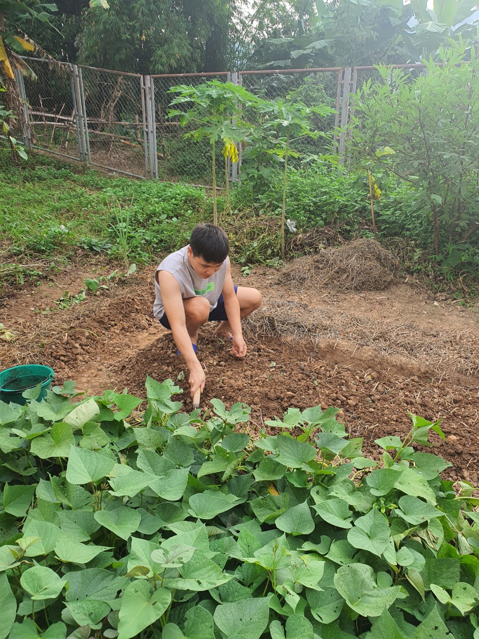 Người thầy 8 năm &quot;gieo&quot; chữ trên nước Lào  - Ảnh 3.