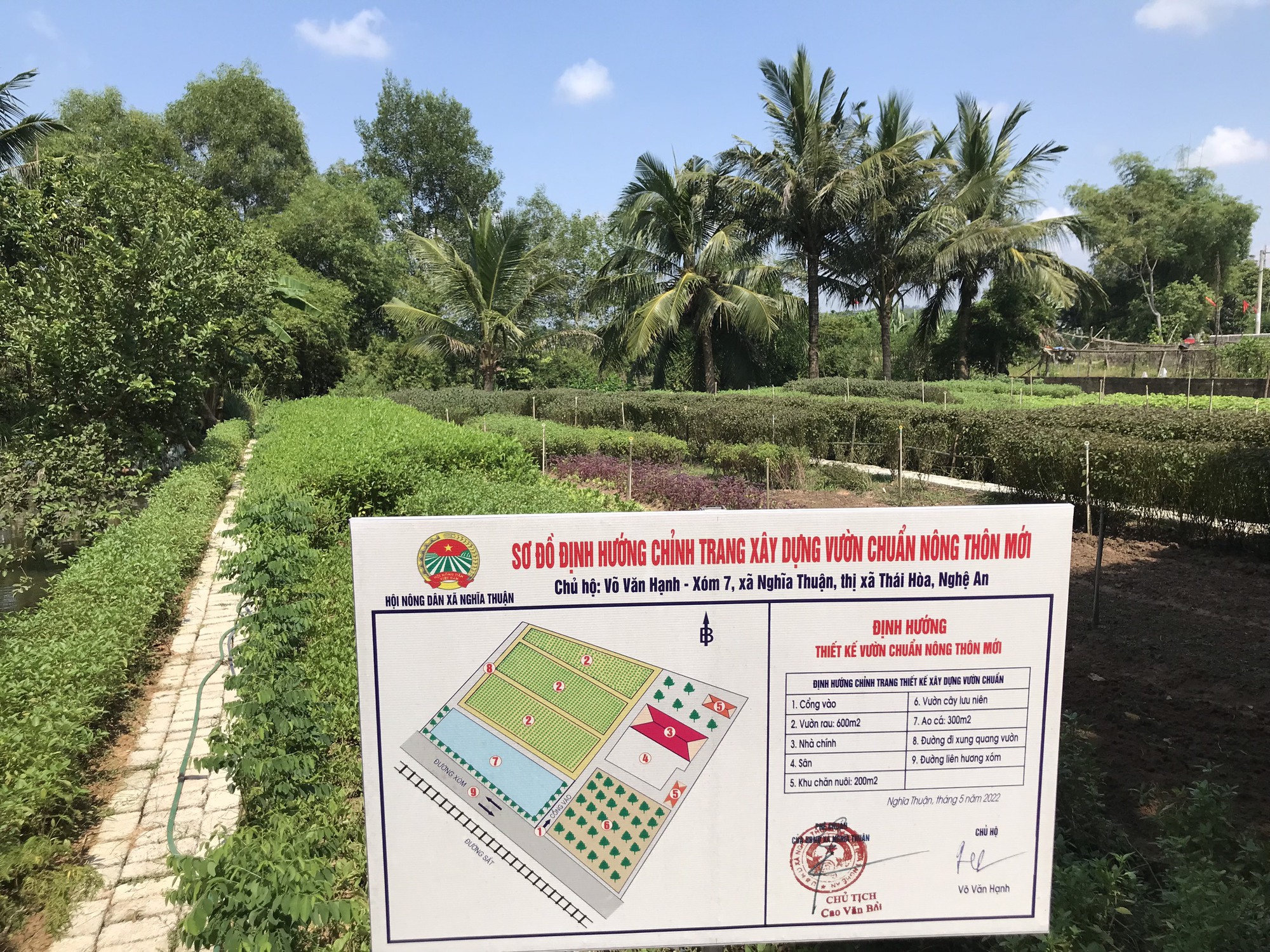 Nông thôn mới nâng cao ở Thị xã Thái Hòa của Nghệ An, vườn mẫu, hàng rào đẹp, đường làng sạch, nông dân vui - Ảnh 2.
