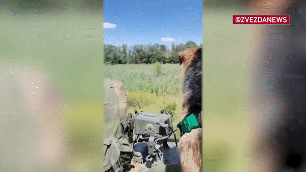 Kíp xe chiến đấu bộ binh BMP-3 Nga sống sót thần kỳ dù trúng hỏa lực Ukraine - Ảnh 6.