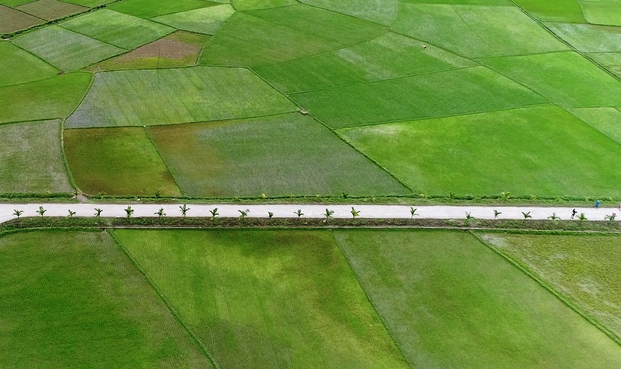 Con đường hoa nông thôn mới kiểu mẫu đẹp như tranh ở một xã tận Hà Giang - Ảnh 2. Con đường hoa nông thôn mới kiểu mẫu đẹp như tranh ở một xã tận Hà Giang - Ảnh 2.