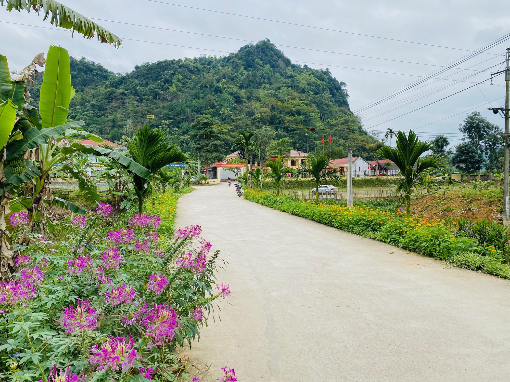 Con đường hoa nông thôn mới kiểu mẫu đẹp như tranh ở một xã tận Hà Giang - Ảnh 1.
