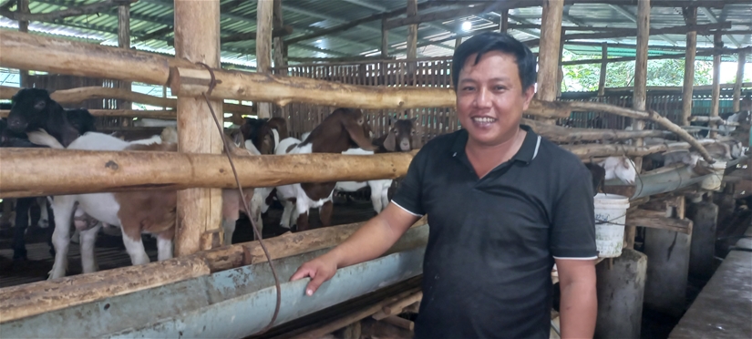 Tổ hội nuôi dê của một xã của huyện Tánh Linh ở Bình Thuận tạo việc làm cho 30 lao động, thu nhập cao - Ảnh 2.