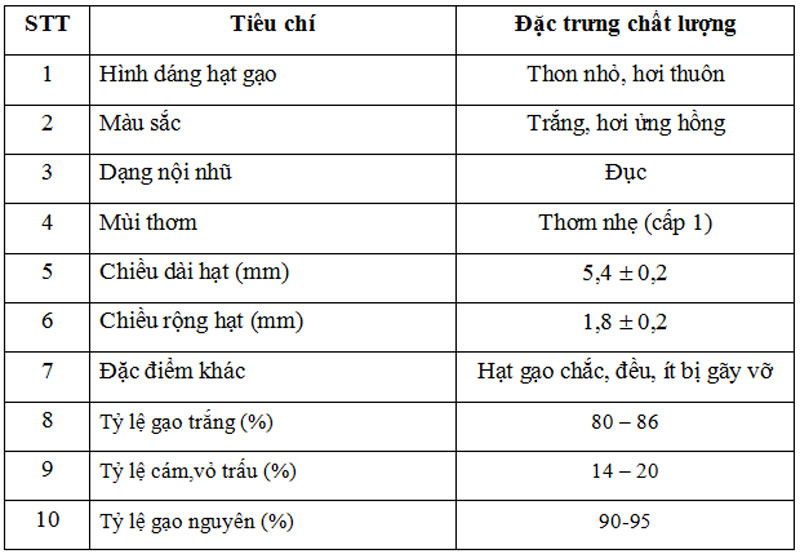 Đây là cách nhận biết loại gạo đặc sản tên nghe mĩ miều ở vùng Bảy Núi của An Giang, tránh mua phải hàng nhái - Ảnh 2.