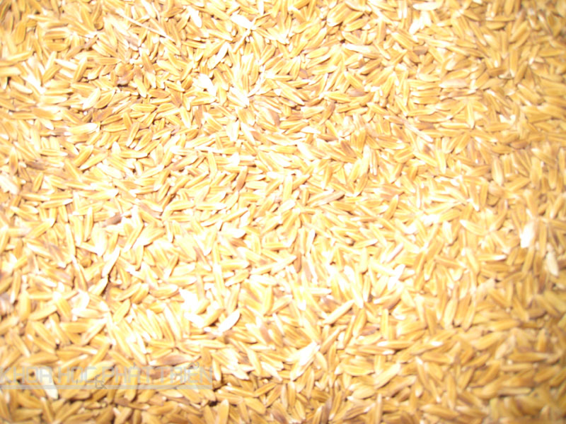 Đây là cách nhận biết loại gạo đặc sản tên nghe mĩ miều ở vùng Bảy Núi của An Giang, tránh mua phải hàng nhái - Ảnh 1.