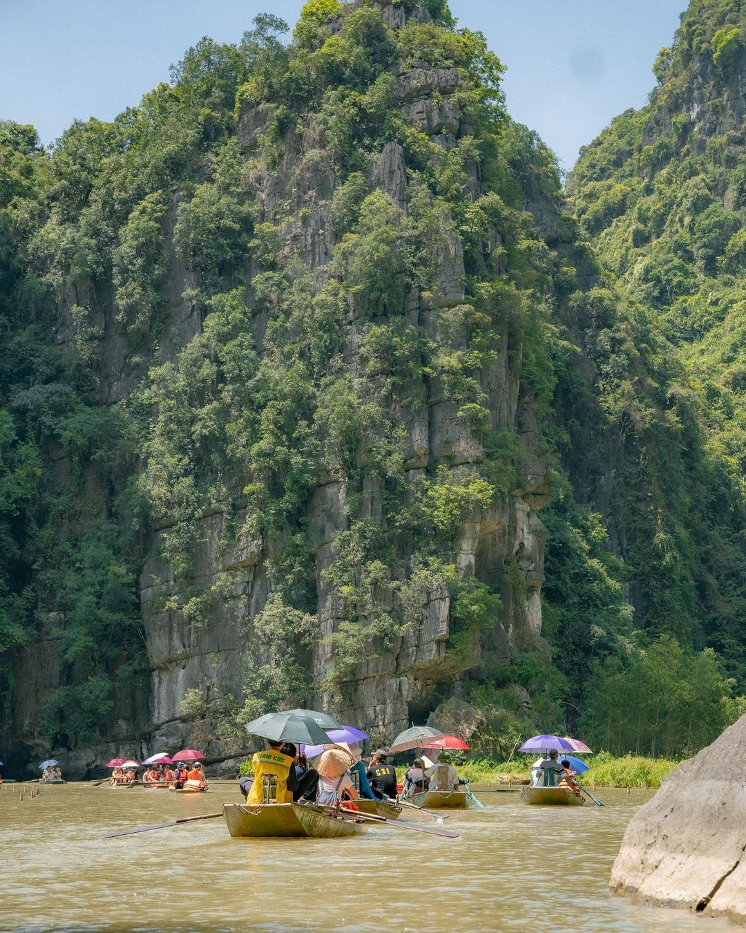 Du khách nước ngoài ngỡ ngàng trước cảnh này khi ngồi thuyền trải nghiệm ở Ninh Bình - Ảnh 2.