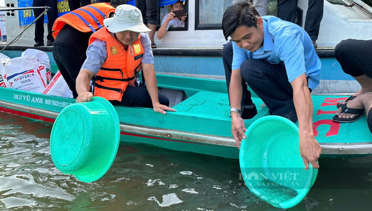 Đồng Nai: Thả gần 4.000 cá thể tôm sú, cua, cá xuống sông để tái tạo nguồn lợi thủy sản - Ảnh 2.