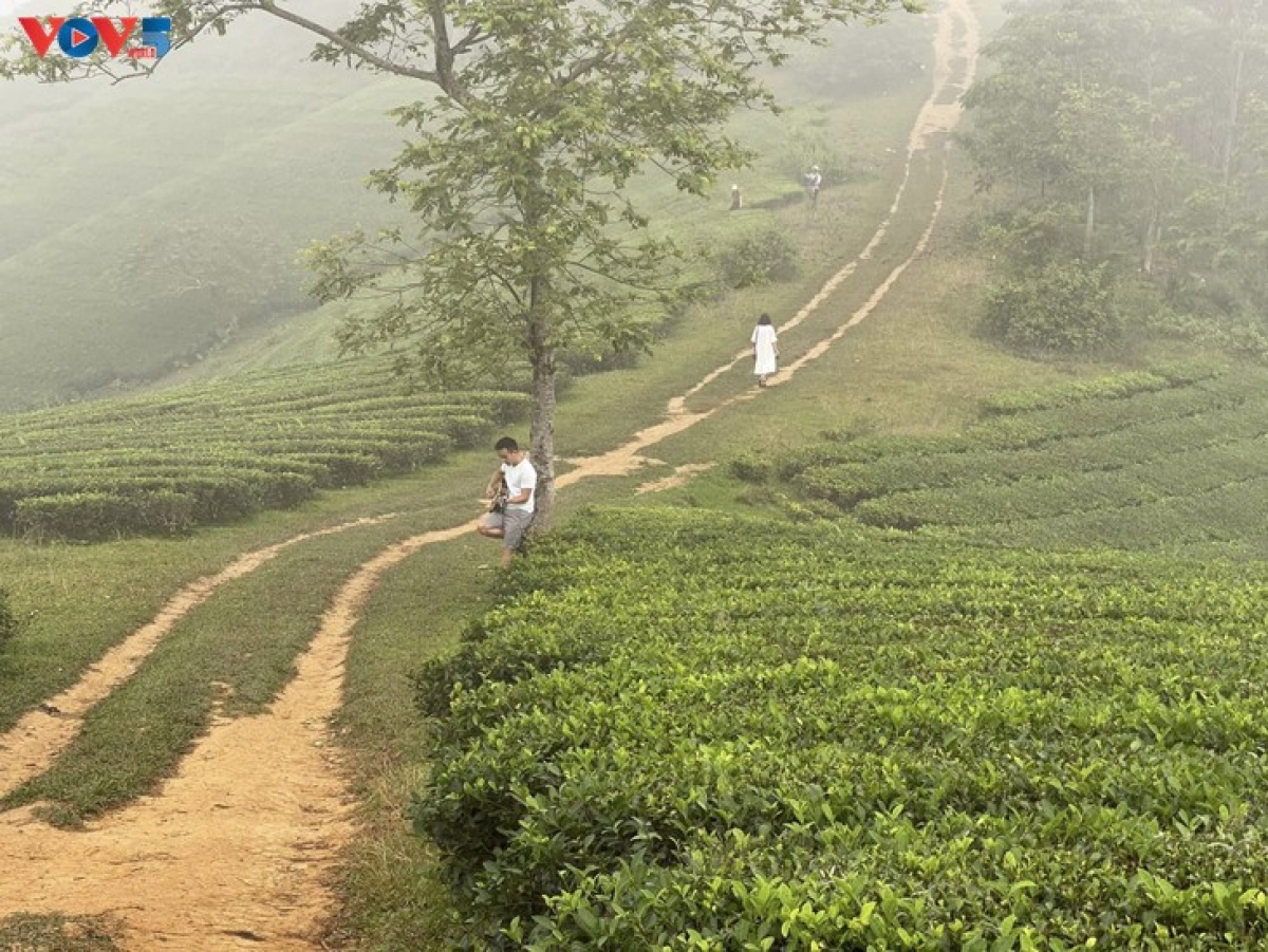 Long Cốc mùa đẹp nhất trong năm - Ảnh 4.