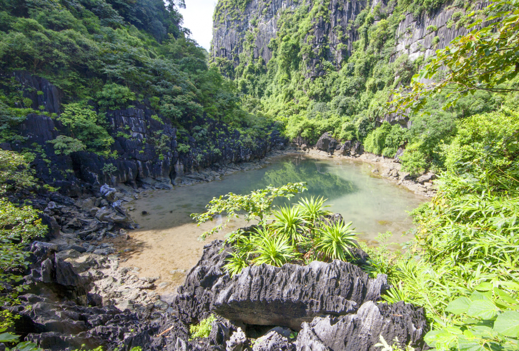 Hồ nước ngọt trên núi bí ẩn, hiếm thấy, vách đá có loài thạch sùng lạ ở Vịnh Hạ Long của Quảng Ninh - Ảnh 5.